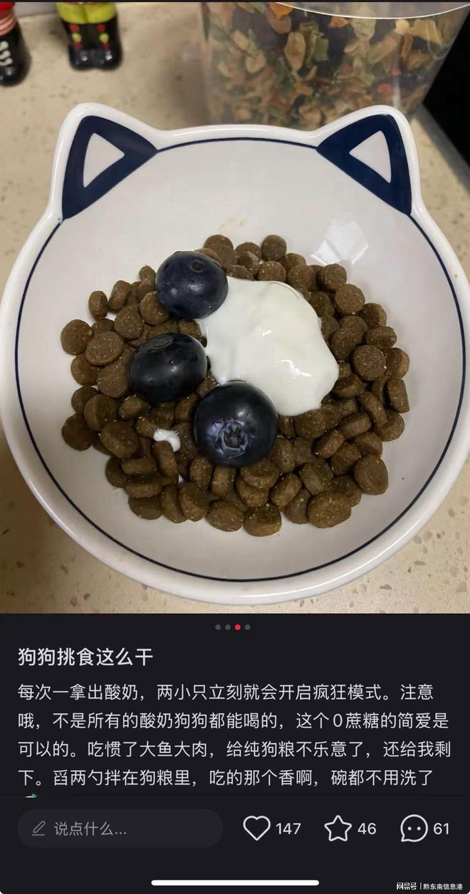 方”撬动萌宠经济与母婴信任双赛道开元棋牌app简爱酸奶以“纯净配(图1)