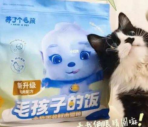粮！三只松鼠靠什么重返宠物食品赛道开元棋牌网站零食巨头盯上毛孩子口(图1)