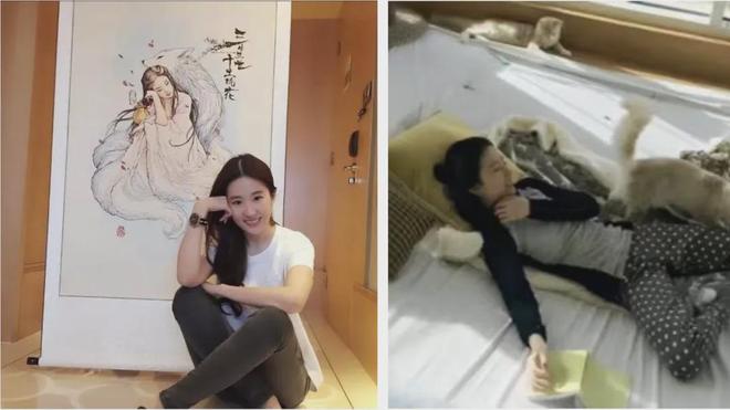 刷屏气质绝了：这才是顶级松弛感开元ky棋牌37岁刘亦菲拿奖照(图4)