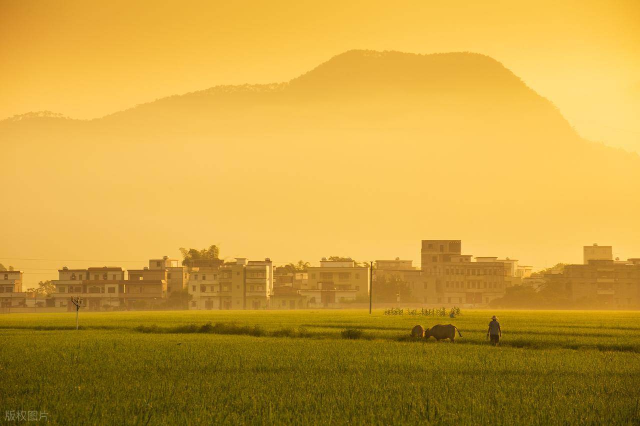 生意！轻松月入2-3万！开元棋牌农村无本暴利小(图2)