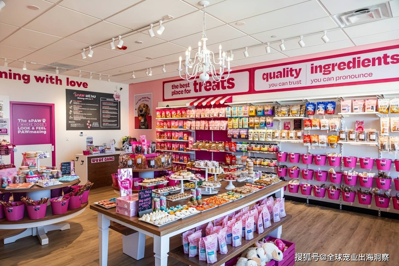 家公司要开450家宠物门店开元ky棋牌年入105亿这(图2)