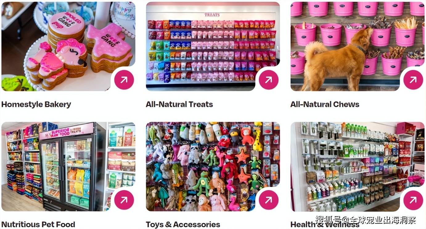 家公司要开450家宠物门店开元ky棋牌年入105亿这(图5)