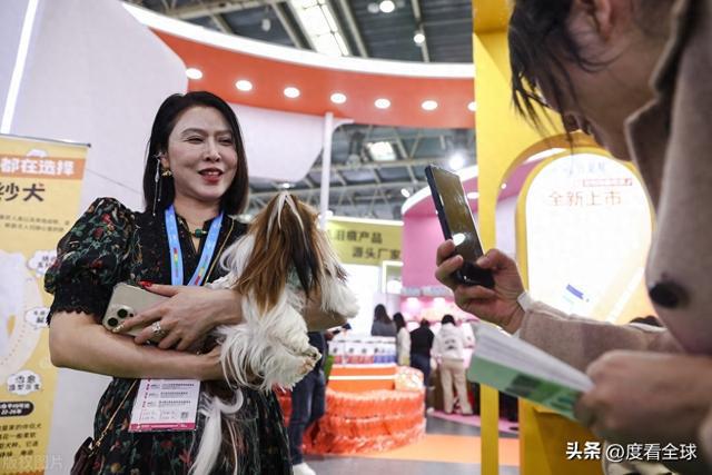 ！宠物文创、趣味互动等你来体验！开元ky棋牌第12届宠展燃爆京城(图9)