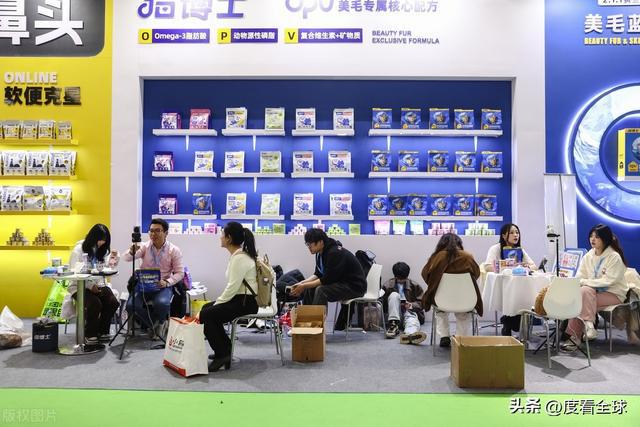 ！宠物文创、趣味互动等你来体验！开元ky棋牌第12届宠展燃爆京城(图8)